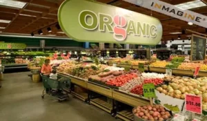 Shopping at the Grocery Store